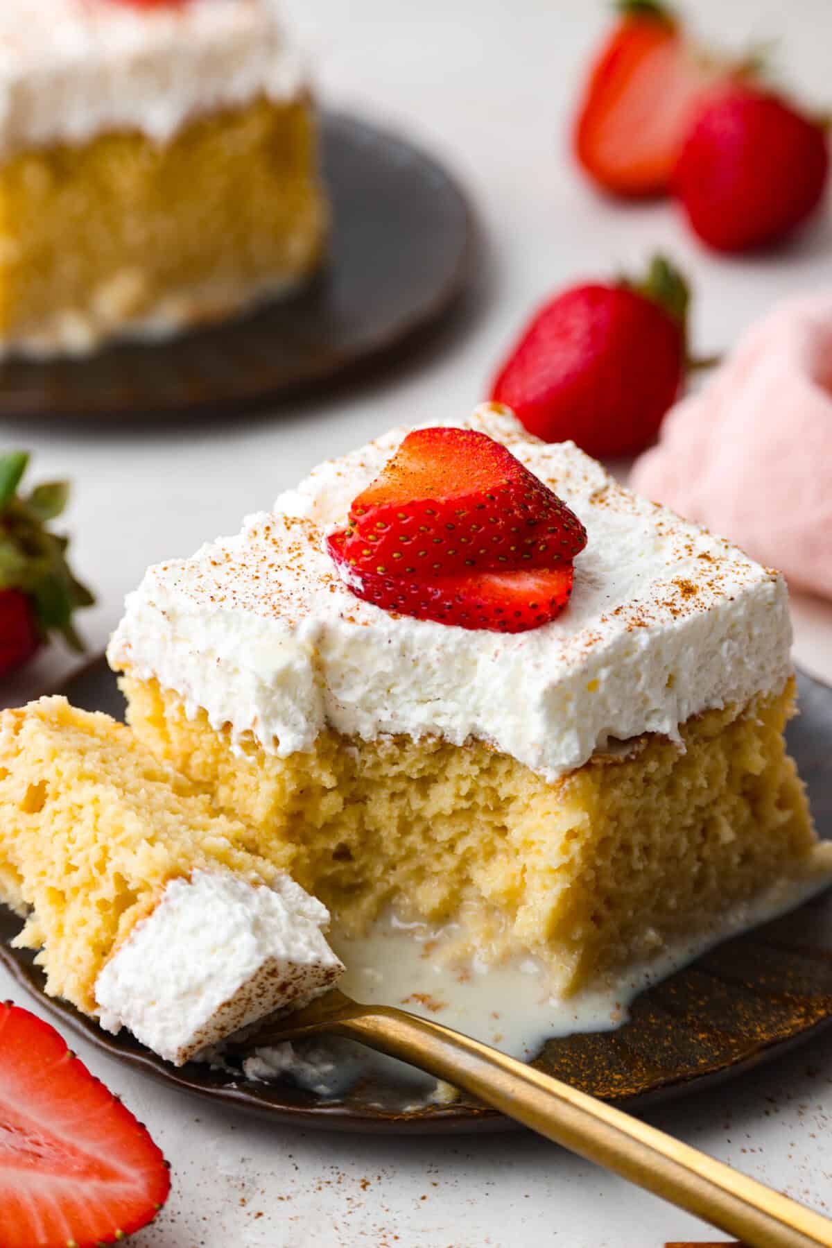 Angle shot of a plated piece of tres leches cake topped with a dash of cinnamon and a couple strawberry slices.