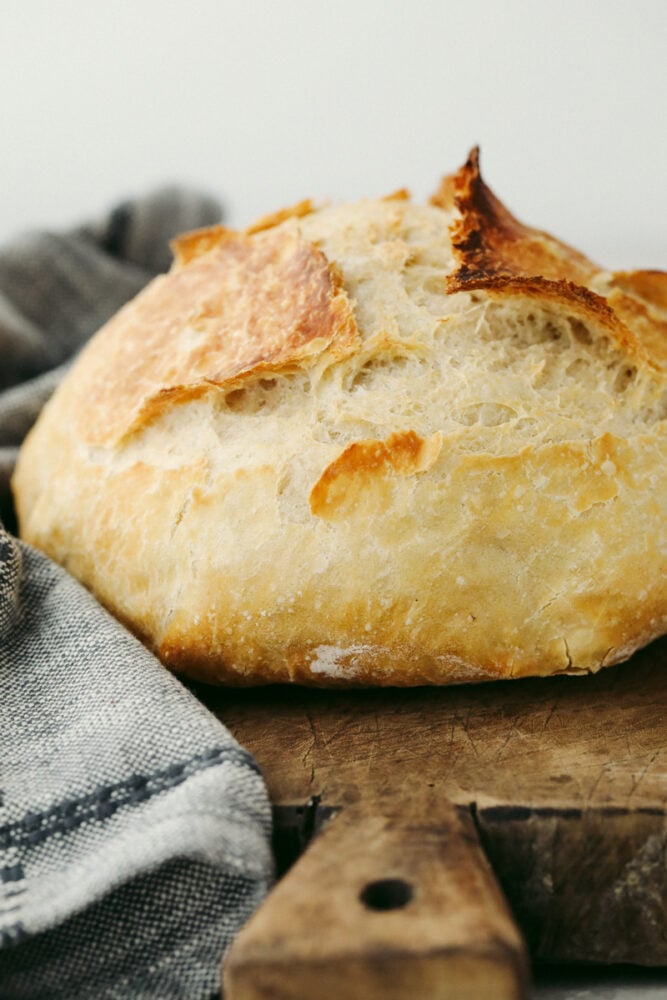 Miracle No Knead Bread Recipe - 92