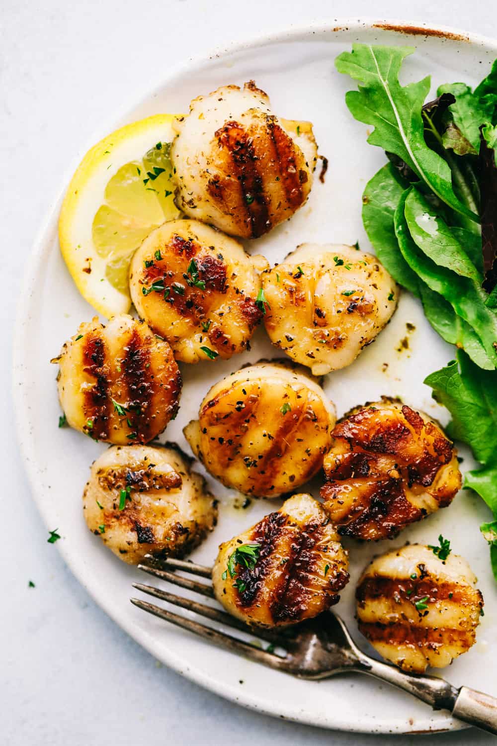 grilled lemon garlic scallops on a plate with lettuce