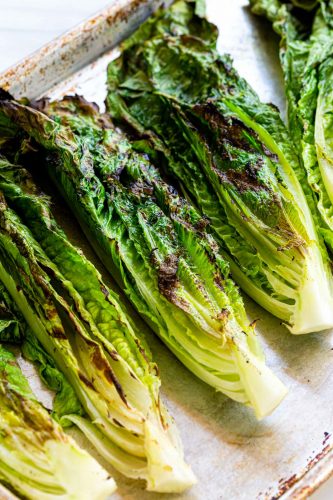 Grilled Caesar Salad 