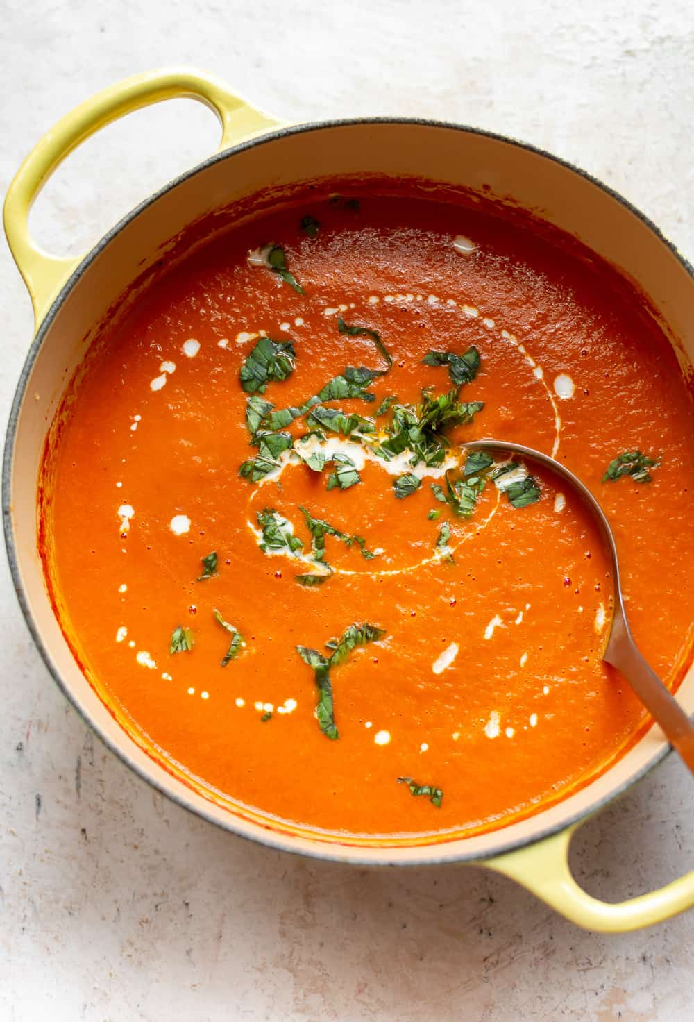 Tomato Basil Soup SMART KIDS