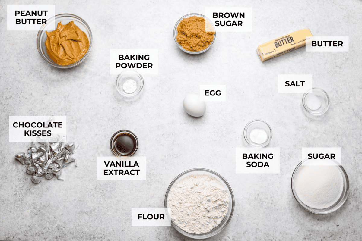 Overhead shot of labeled ingredients. 