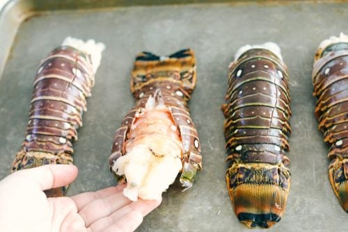 The Best Lobster Tail Recipe Ever! | The Recipe Critic