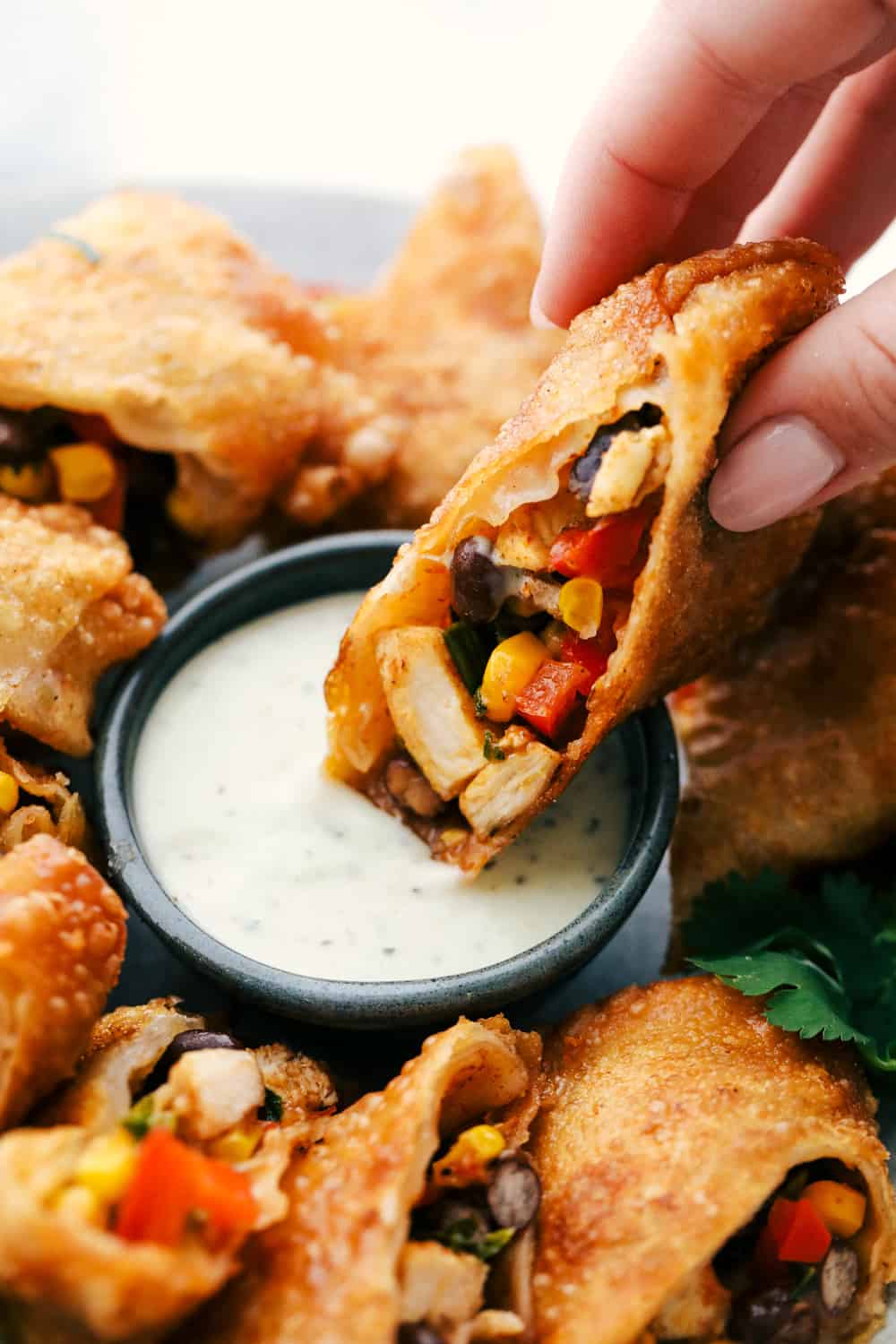 El rollo de huevo de gallina del suroeste se sumerge en aderezo ranchero de cilantro. 