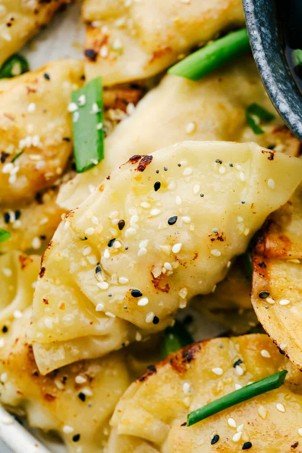 Foto de cerca de potstickers de pollo con semillas de sésamo y cebolletas. 