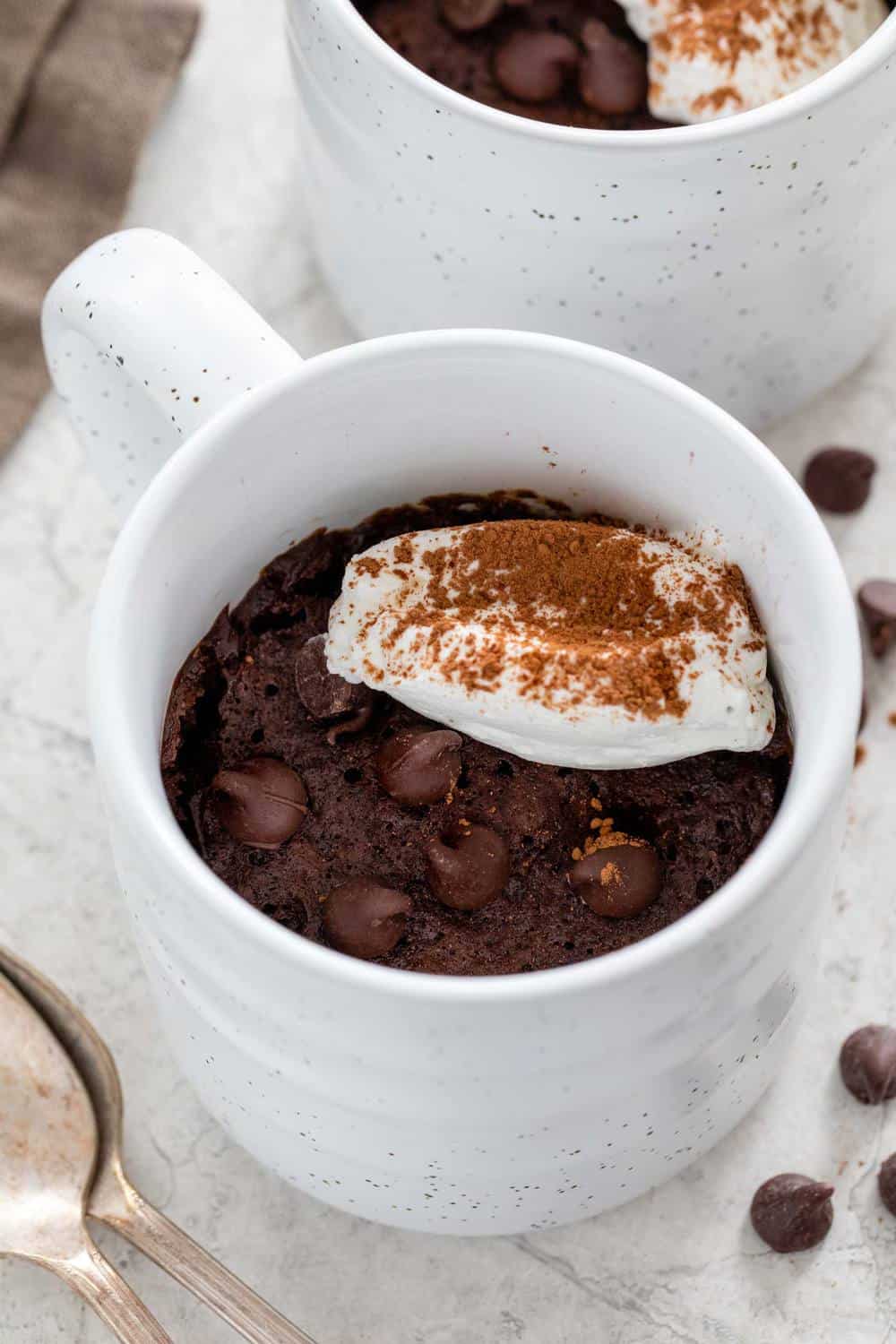 Chocolate Mug Cake Recipe | The Recipe Critic