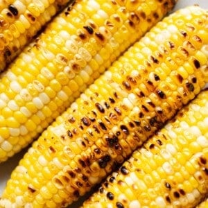 close-up of grilled corn