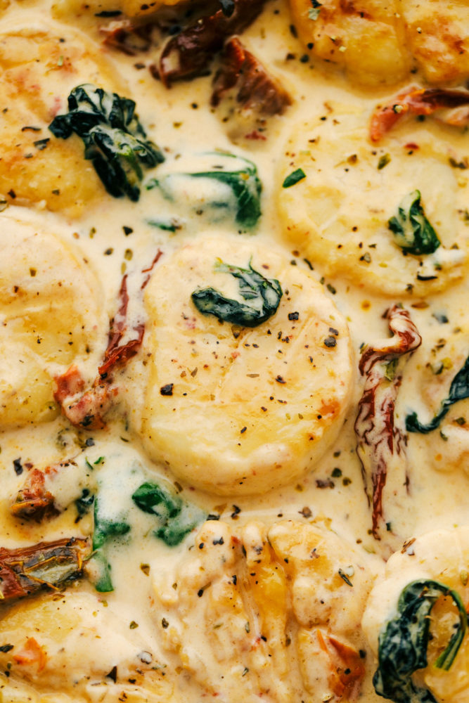 Scallops in a creamy garlic sauce with sun dried tomatoes and spinach hidden throughout.  