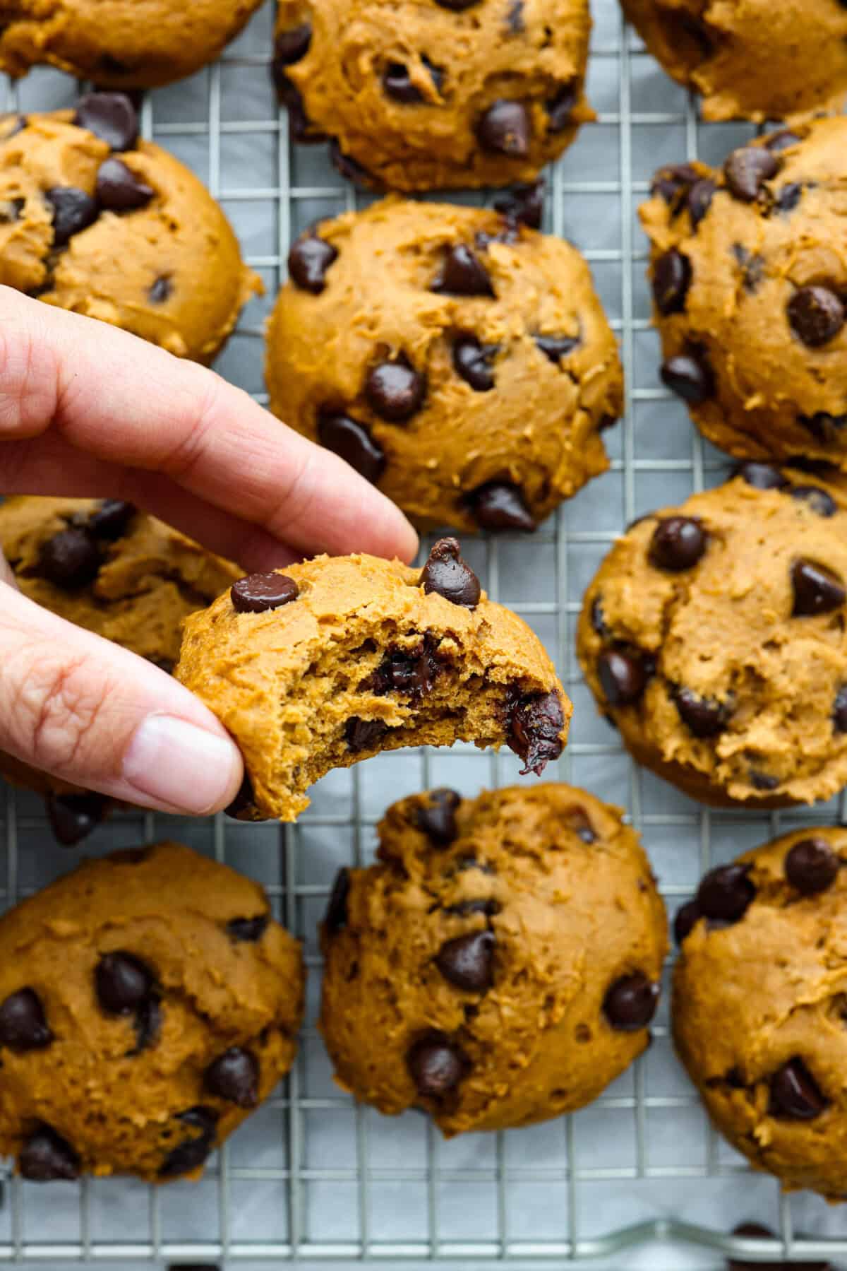 Close up shot of someone holding a pumpkin chocolate chip cookie with a bite taken out of it. 