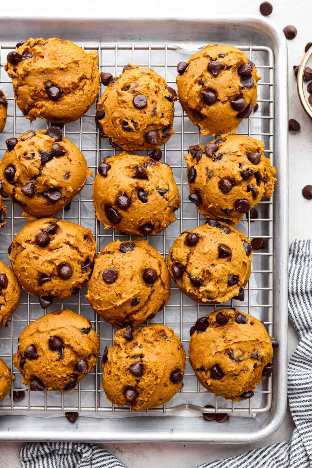 Overhead shot of pumpkin chocolate chip cookies on a cooling rack. 