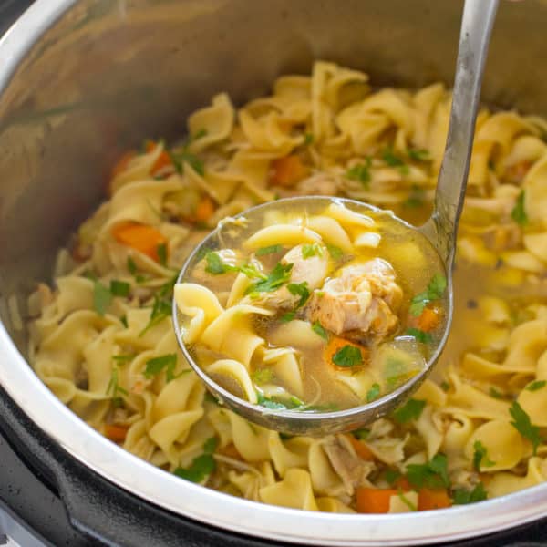 easy chicken noodle instant pot soup