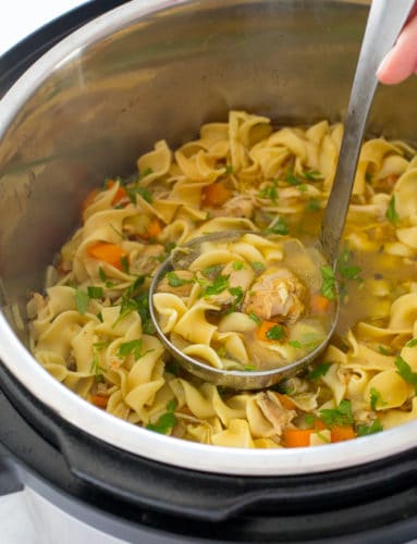 Instant Pot Chicken Noodle Soup | Cook & Hook
