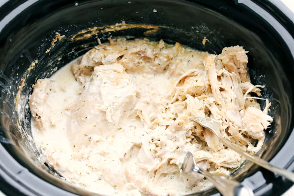 Shredding Crack Chicken in a crock pot