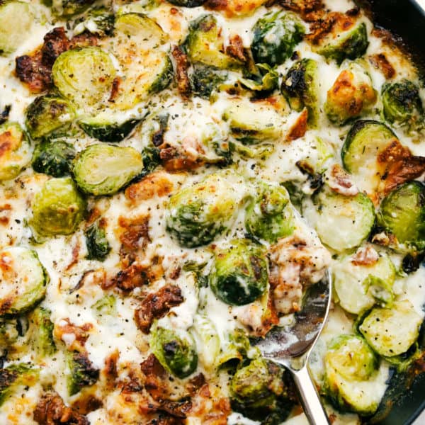 Creamy Parmesan Brussel Sprouts Gratin with Bacon | The Recipe Critic