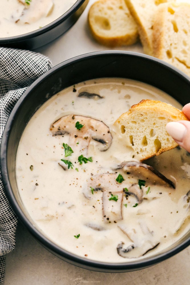 Cream of Mushroom Soup Recipe – Venagredos