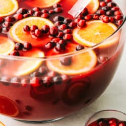 Easy Christmas Punch (Cranberry Orange Punch) | Cook & Hook