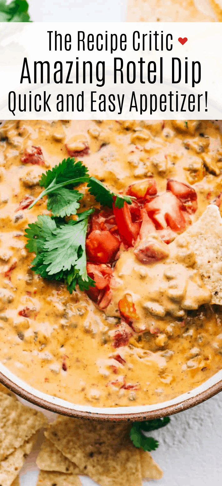 Amazing Rotel Dip Only 15 Ingredients!  The Recipe Critic