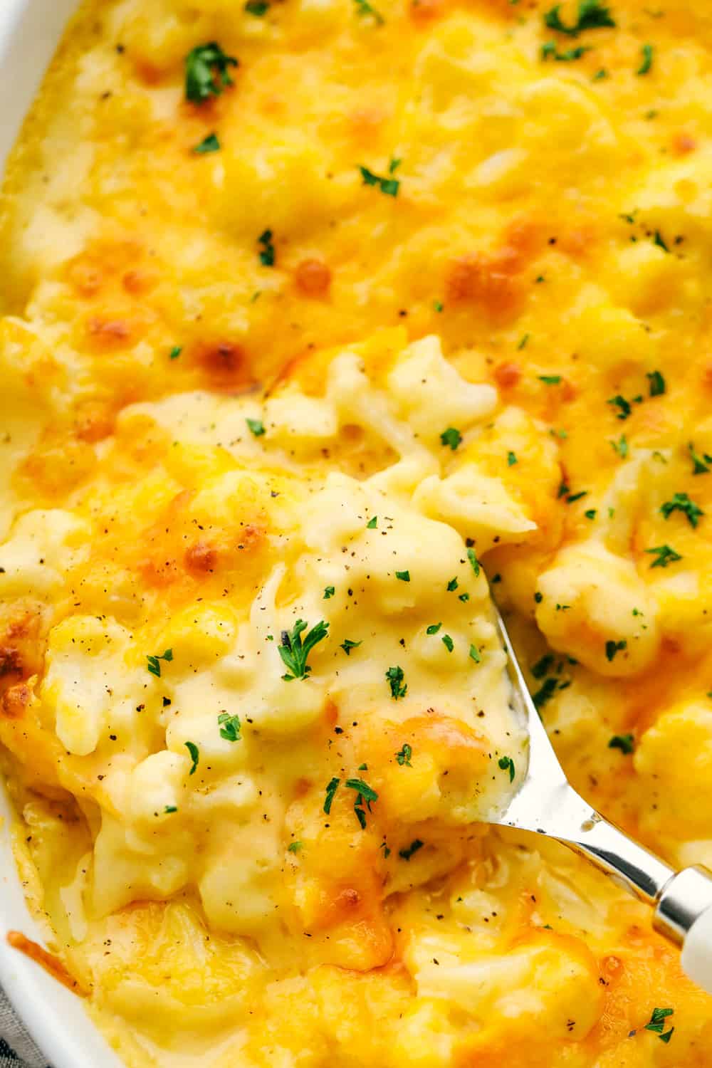 Spooning out creamy decadent cauliflower cheesy macaroni and cheese.