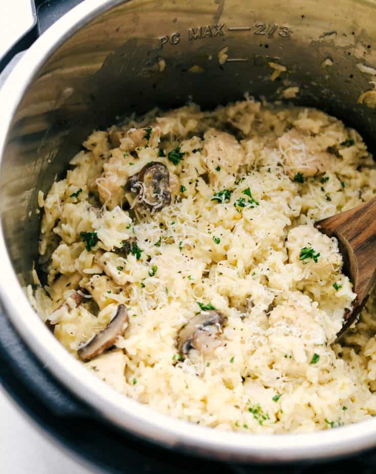 Instant Pot Recipes & Ideas