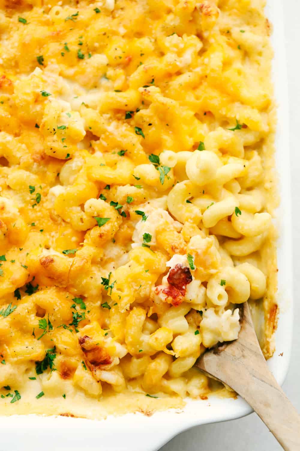 Incredible Lobster Mac and Cheese The Recipe Critic