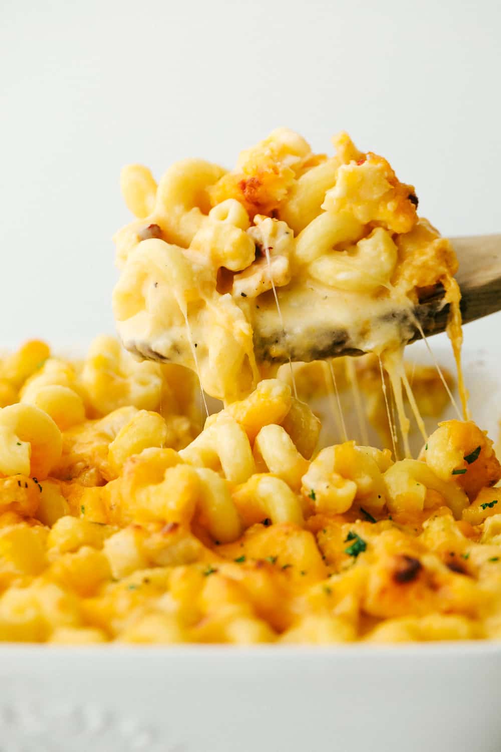 Cheesy Lobster Mac and Cheese being scooped out of a white dish. 