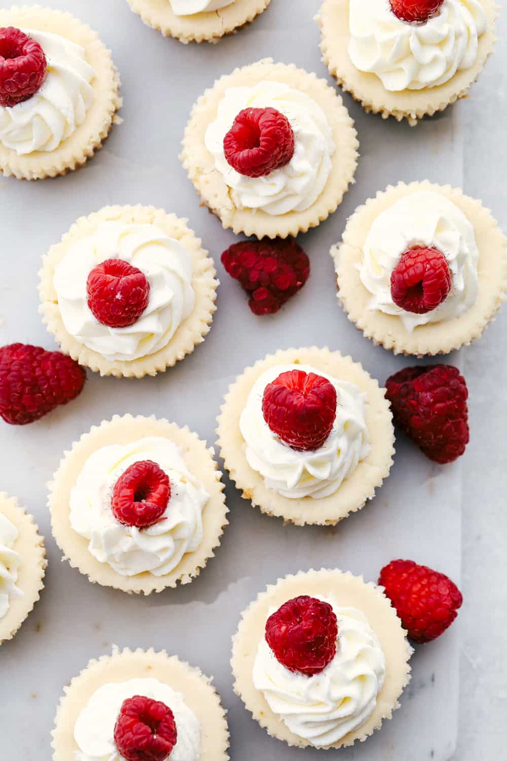 Looking down on cheesecake cupcakes topped with whip cream and raspberries. 
