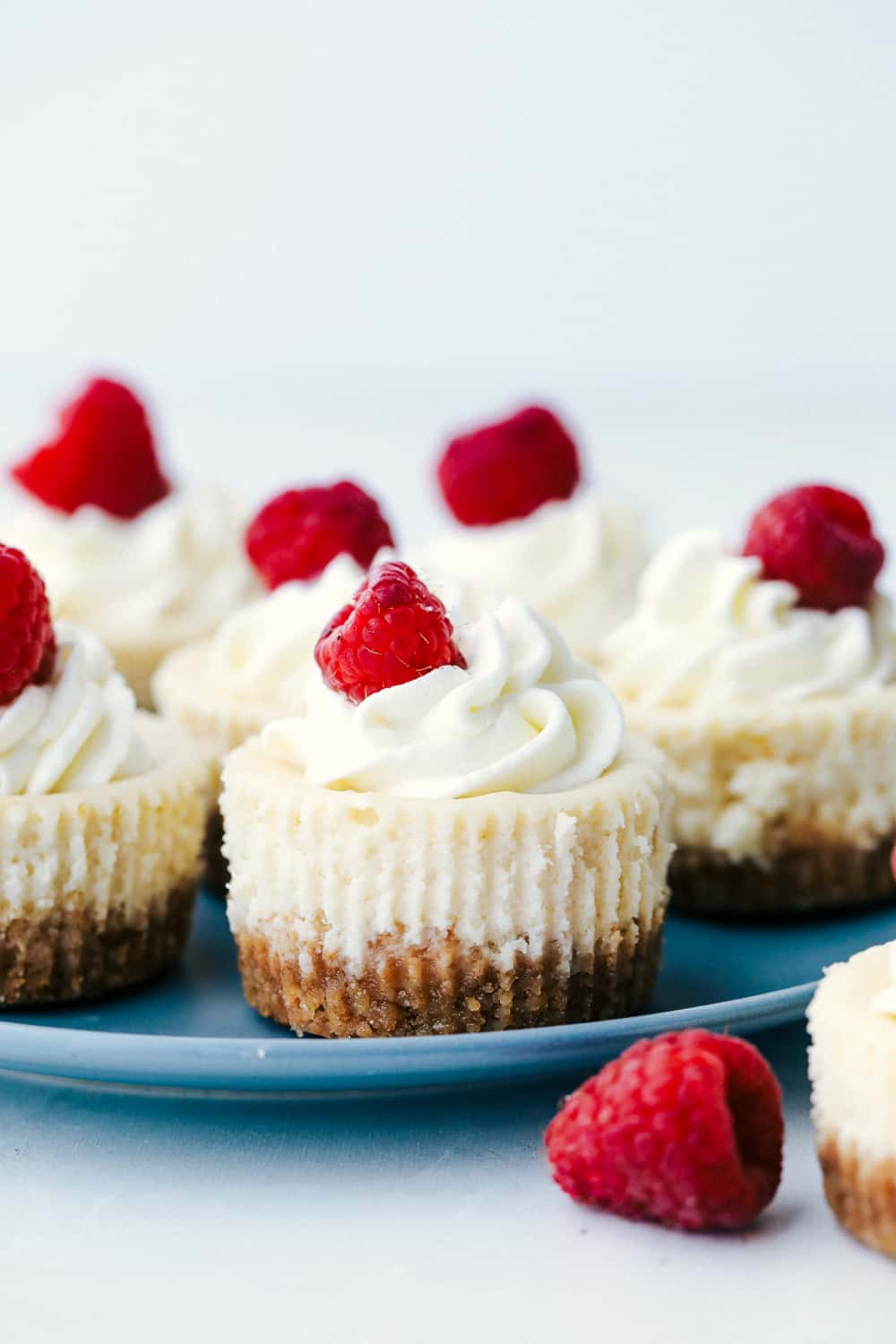 Mini Cheesecakes - Yummy Recipe