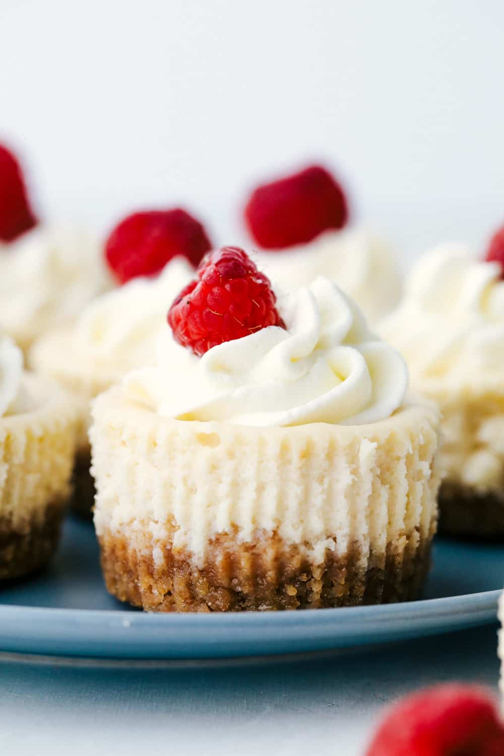 Close up of mini cheesecakes with raspberries. 