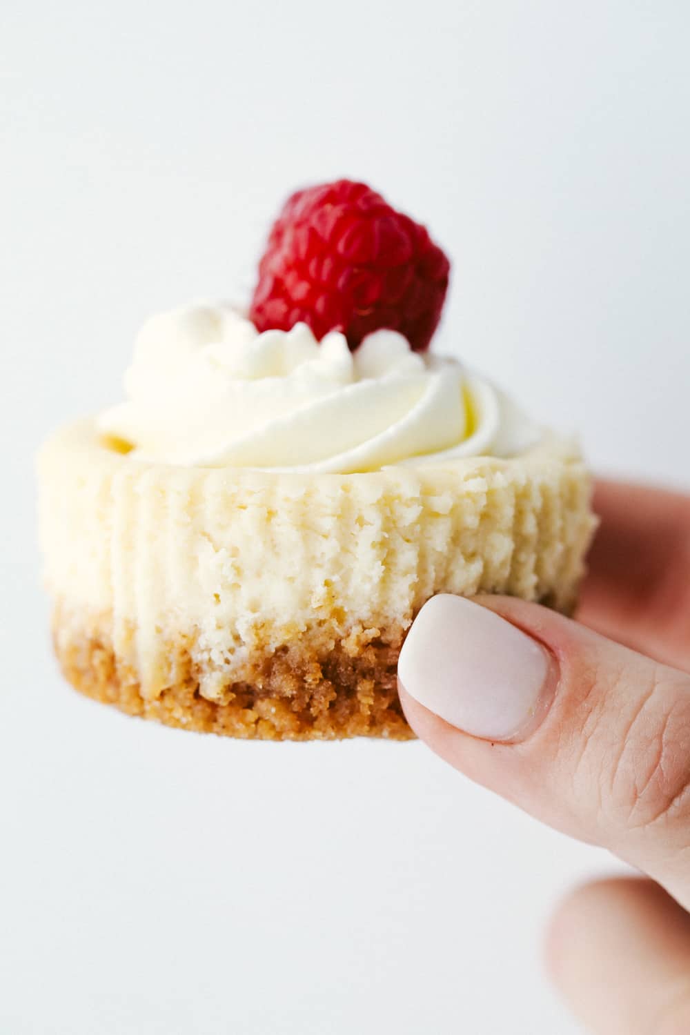 Hand holding a mini cheesecake with whipped topping and a raspberry. 