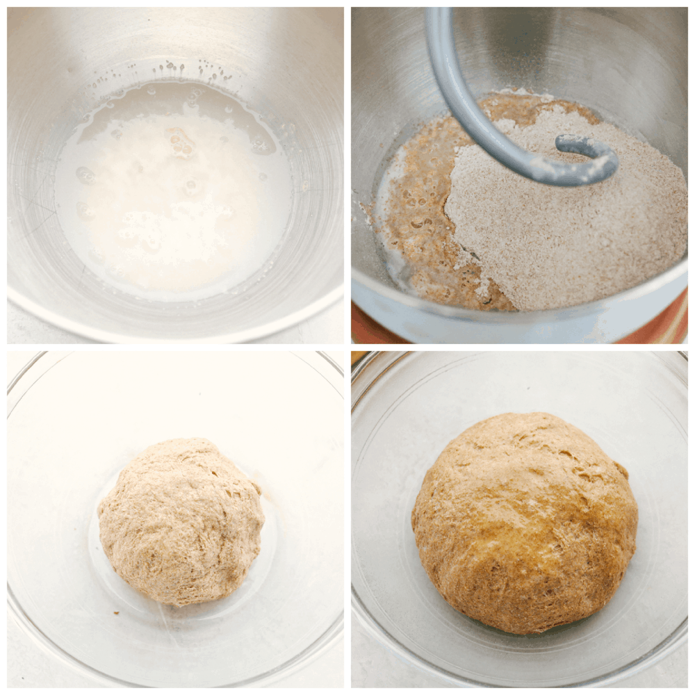 Mixing the dough for whole wheat pizza dough. 