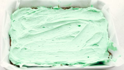 Absolute Best Mint Brownies - 1