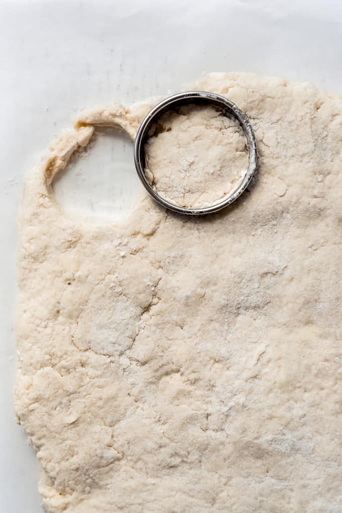 a round biscuit cutter cutting out dough