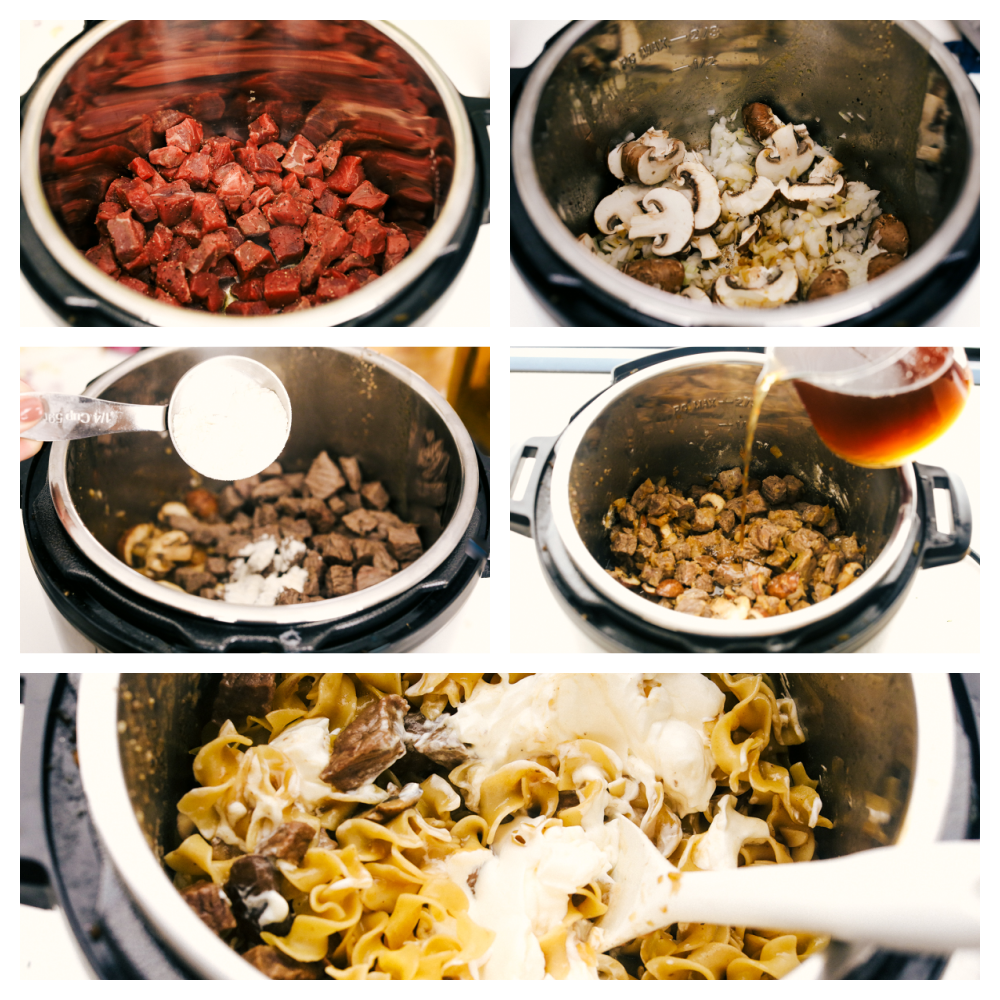 Beef Stroganoff in the Instant Pot - 36