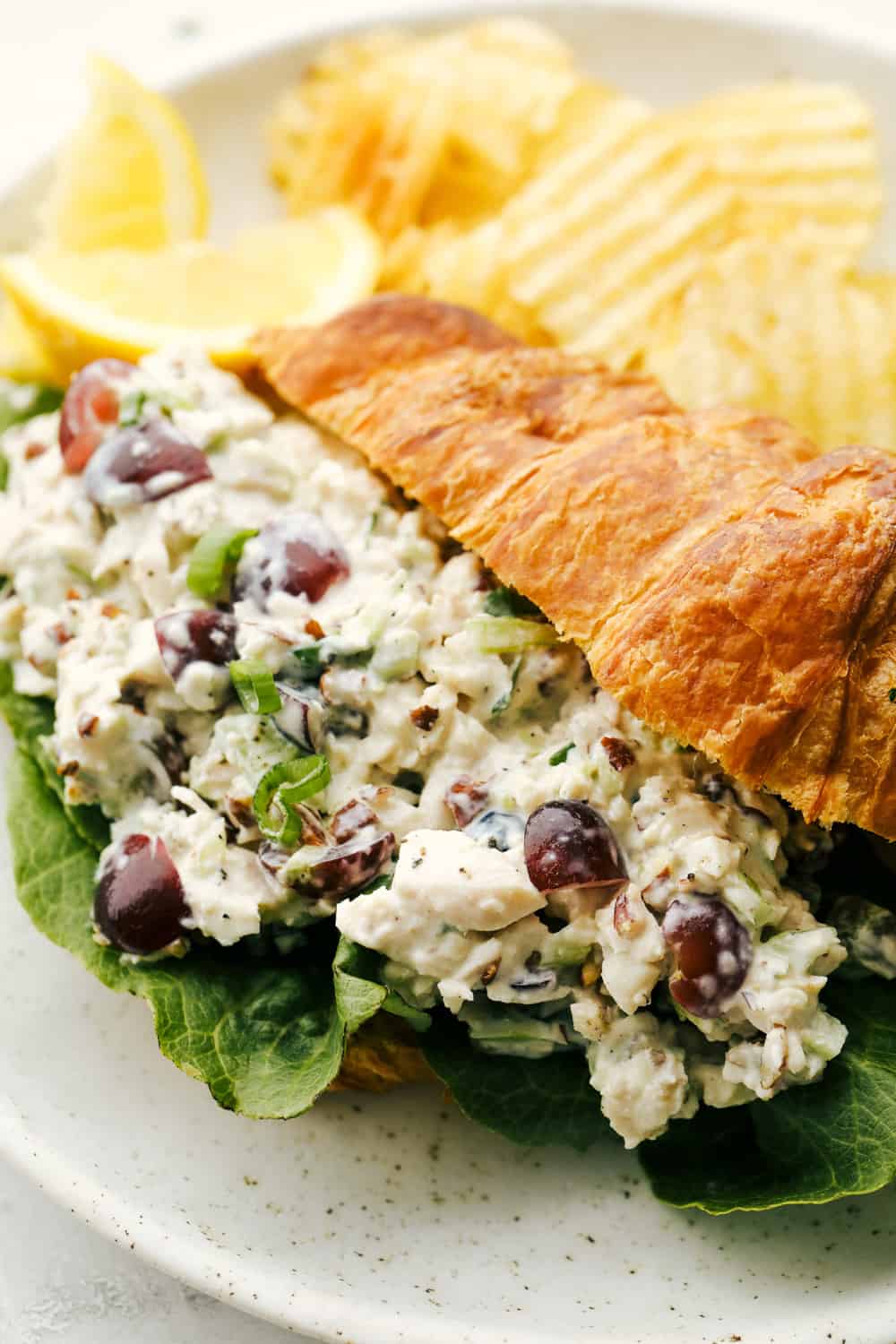 A close up of chicken salad in a croissant one a plate with some potato chips. 
