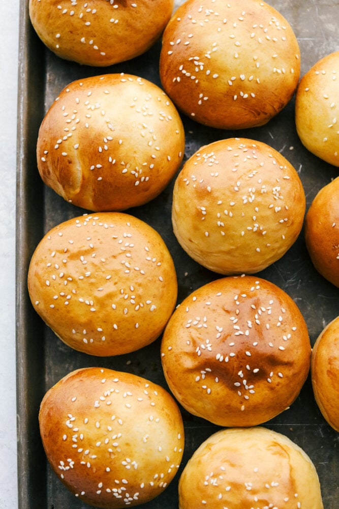 Baked Hamburger buns on a tray. 