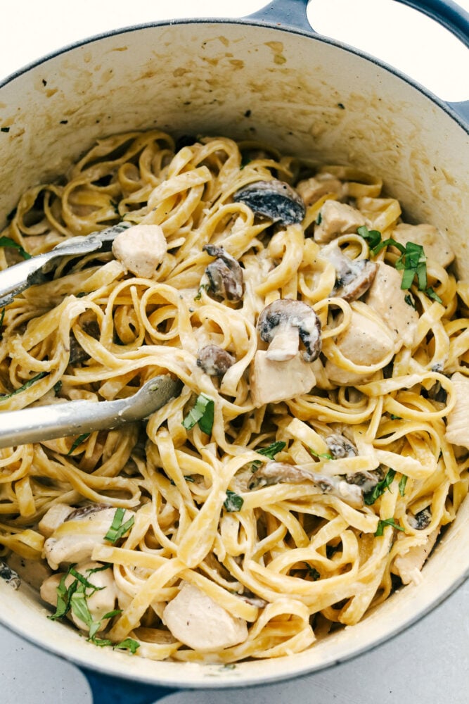 Chicken Alfredo fettuccine alfredo in one pot. 