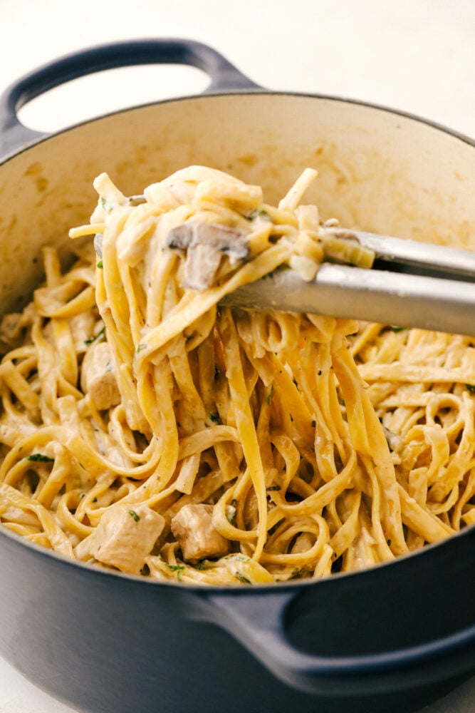 Chicken alfredo fettuccine with mushrooms in one pot with tongs lifting the noodles.