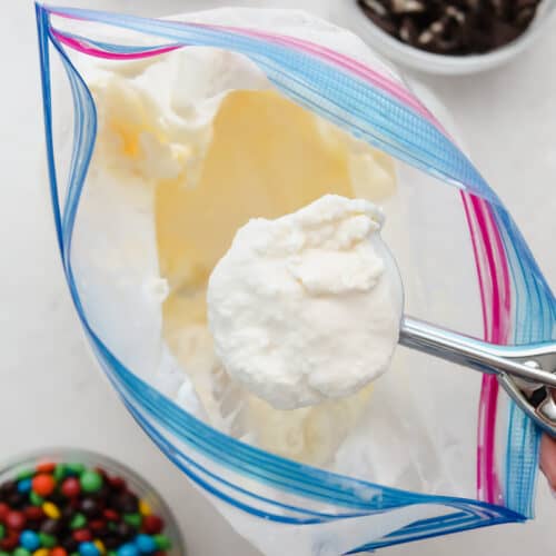 5 Minute Ice Cream In A Bag - 4 Sons 'R' Us