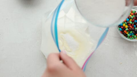 Homemade Ice Cream in a Bag Recipe - 8