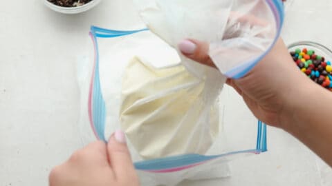 Homemade Ice Cream in a Bag Recipe - 49