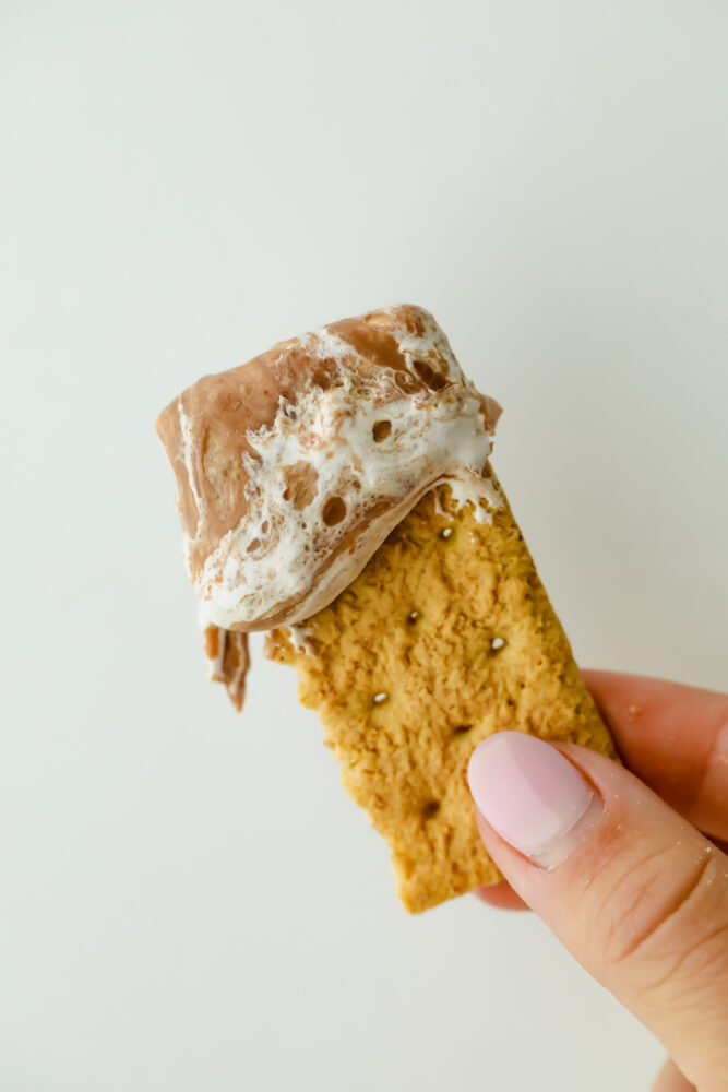 A bit of graham cracker with the s'more dip on it. 
