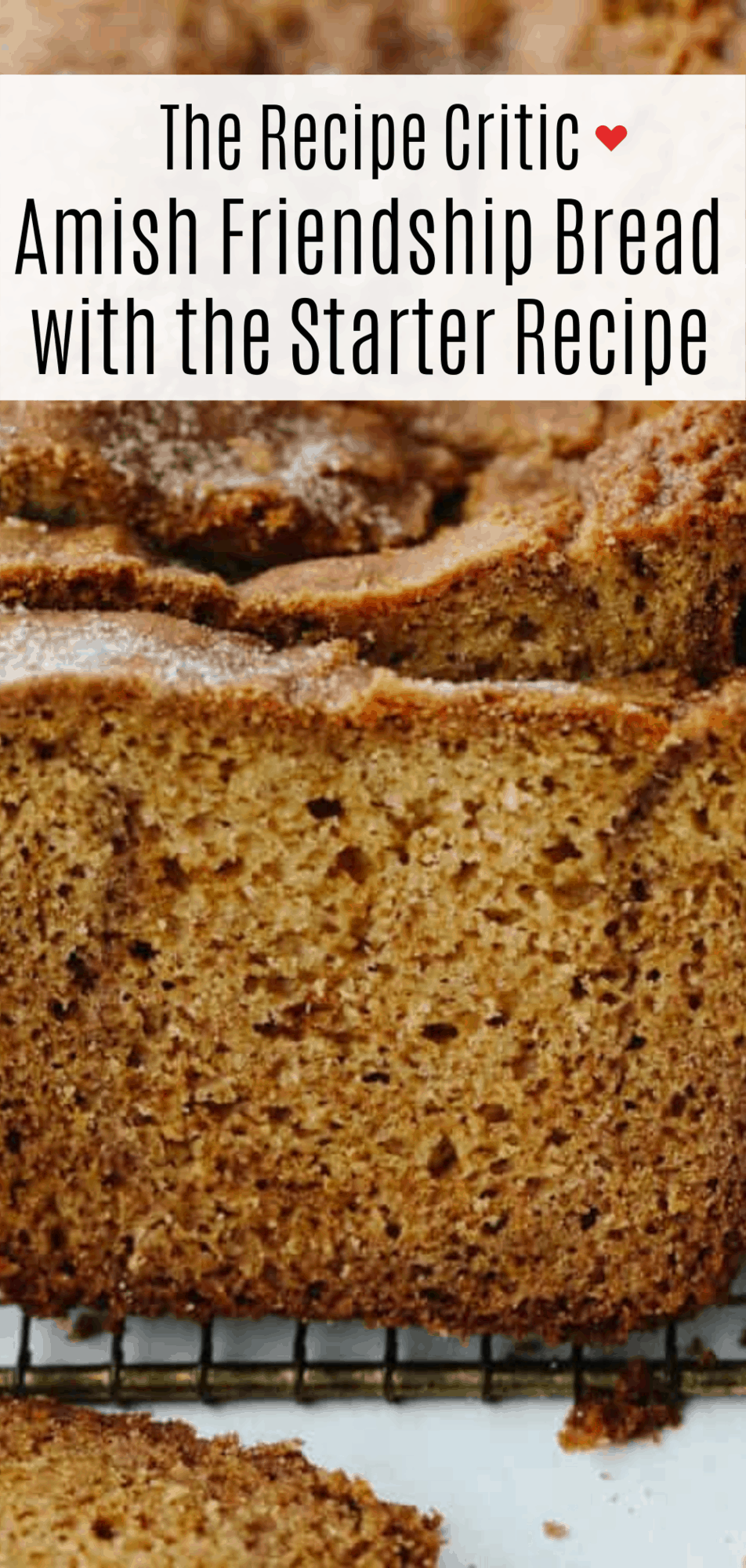 Amish Friendship Bread and Starter Recipe | The Recipe Critic