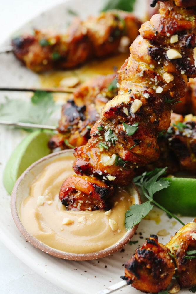 Grease a skewer of chicken satay with peanut sauce. 