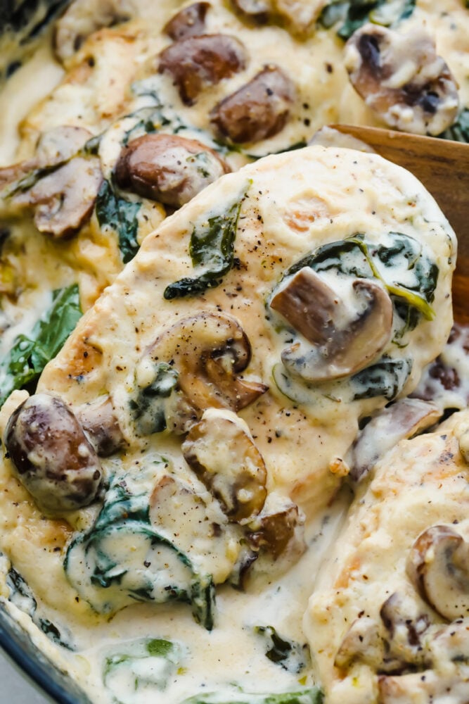 A close-up of the finished creamy chicken dish. 
