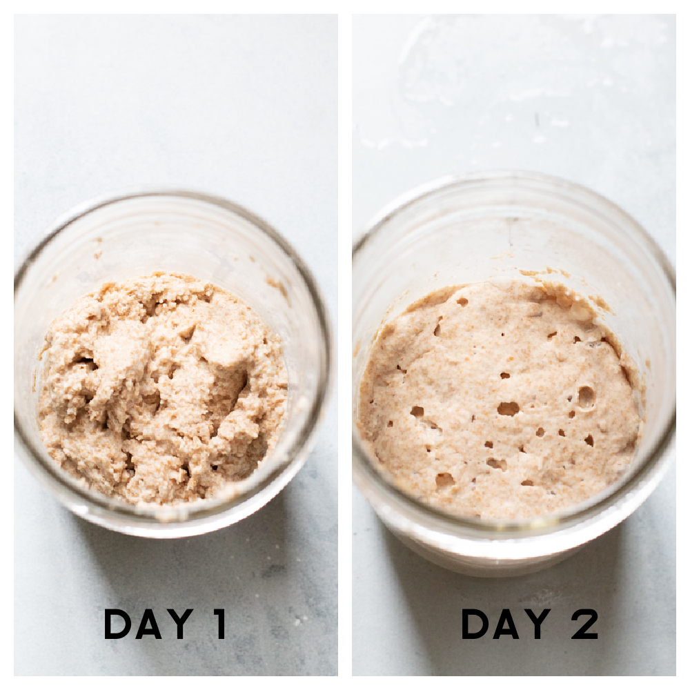 Two jars showing the process of making sourdough. 