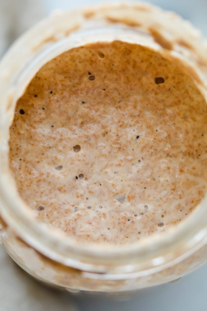 A close-up of Sourdough Starter, bubbling and rising.