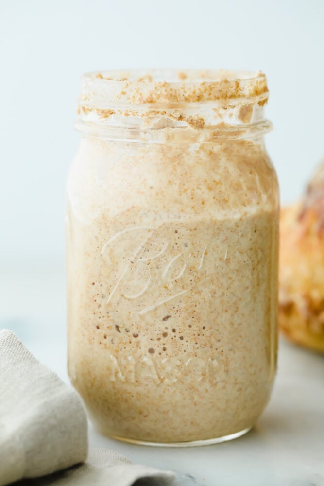 How to Make Sourdough Starter Recipe - 36