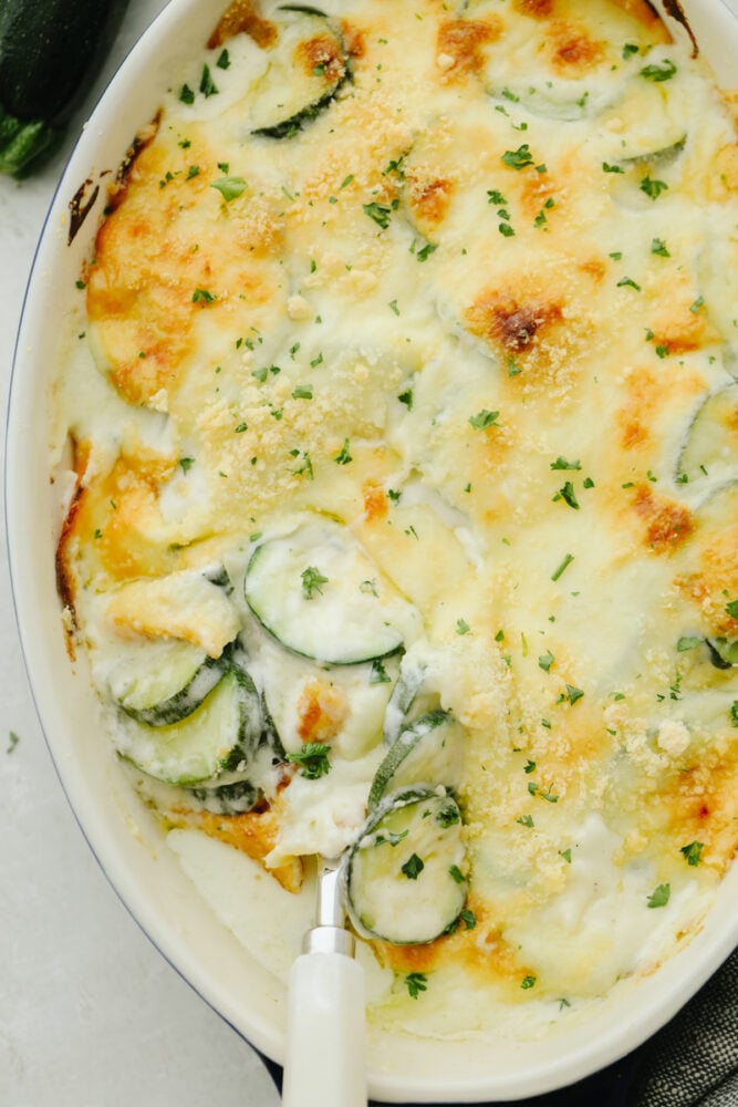 Incredible Parmesan Zucchini Gratin (Zucchini Casserole) - Yummy Recipe