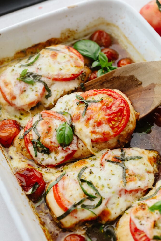 Baked Caprese chicken is nothing less than delicious and delightful! It's fancy enough for company but simple enough for a quick and easy weeknight dinner that your family will go crazy for! Chicken being served on a wooden spoon.