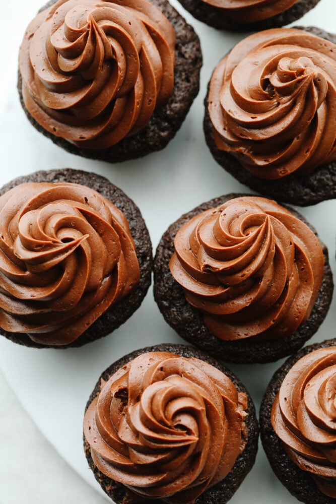 Top-down shot of frosted chocolate cupcakes.